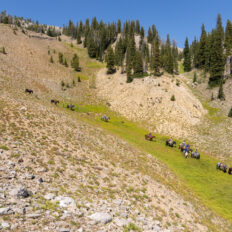 The Grand Tetons Ride, Wyoming, USA - Globetrotting horse riding holidays