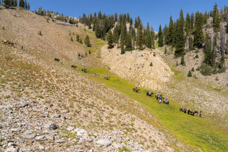 The Grand Tetons Ride, Wyoming, USA - Globetrotting horse riding holidays