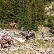 The Grand Tetons Ride, Wyoming, USA - Globetrotting horse riding holidays