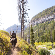 The Grand Tetons Ride, Wyoming, USA - Globetrotting horse riding holidays