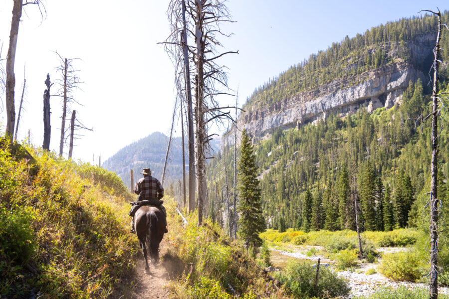 The Grand Tetons Ride, Wyoming, USA - Globetrotting horse riding holidays