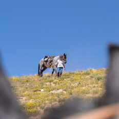 The Grand Tetons Ride, Wyoming, USA - Globetrotting horse riding holidays