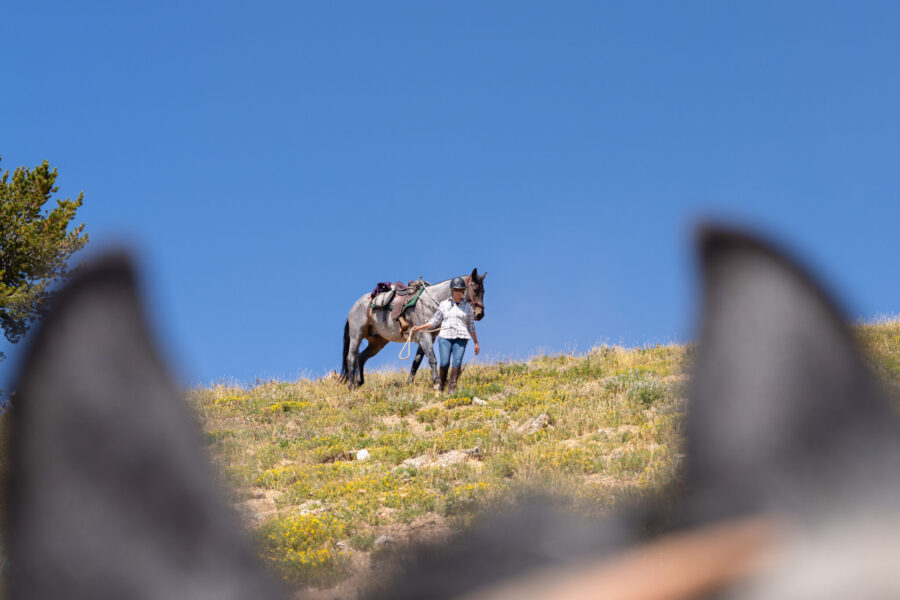 The Grand Tetons Ride, Wyoming, USA - Globetrotting horse riding holidays