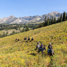 The Grand Tetons Ride, Wyoming, USA - Globetrotting horse riding holidays