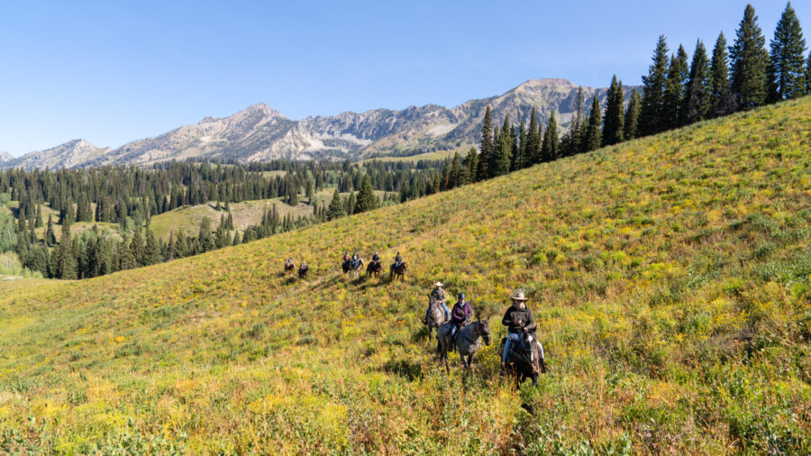 The Grand Tetons Ride, Wyoming, USA - Globetrotting horse riding holidays