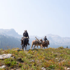 The Grand Tetons Ride, Wyoming, USA - Globetrotting horse riding holidays
