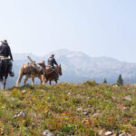 The Grand Tetons Ride, Wyoming, USA - Globetrotting horse riding holidays