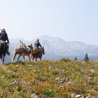 The Grand Tetons Ride, Wyoming, USA - Globetrotting horse riding holidays