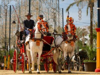 Jerez Horse Festival- Globetrotting horse riding holidays
