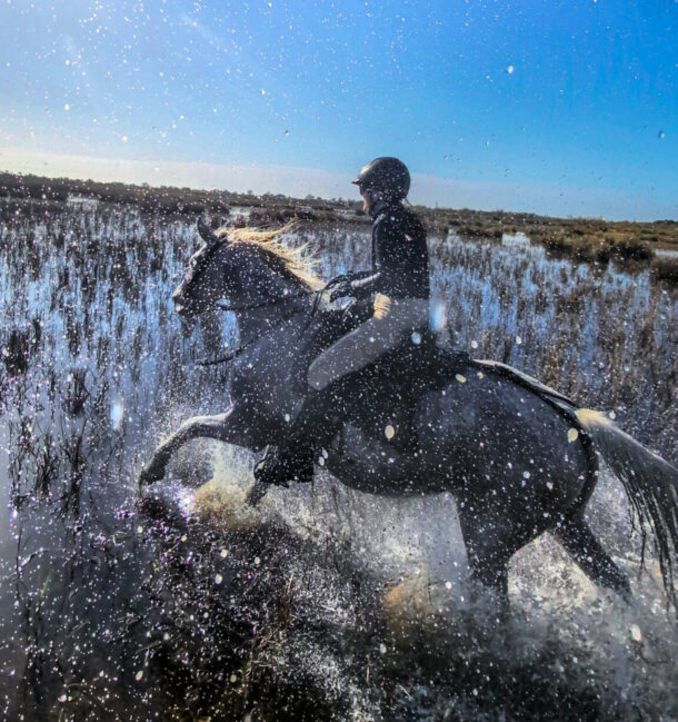 Camargue, France, Globetrotting Horse Riding Holidays