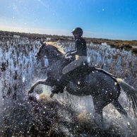 Camargue, France, Globetrotting Horse Riding Holidays