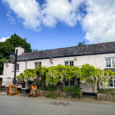 Dartmoor Cattle Drive & Crossing, England - Globetrotting horse riding holidays