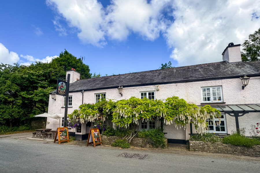Dartmoor Cattle Drive & Crossing, England - Globetrotting horse riding holidays