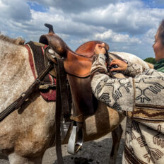 Dartmoor Cattle Drive & Crossing, England - Globetrotting horse riding holidays