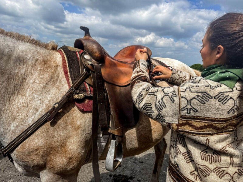 Dartmoor Cattle Drive & Crossing, England - Globetrotting horse riding holidays