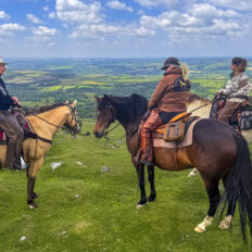 Dartmoor Cattle Drive & Crossing, England - Globetrotting horse riding holidays