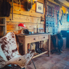 Dartmoor Cattle Drive & Crossing, England - Globetrotting horse riding holidays