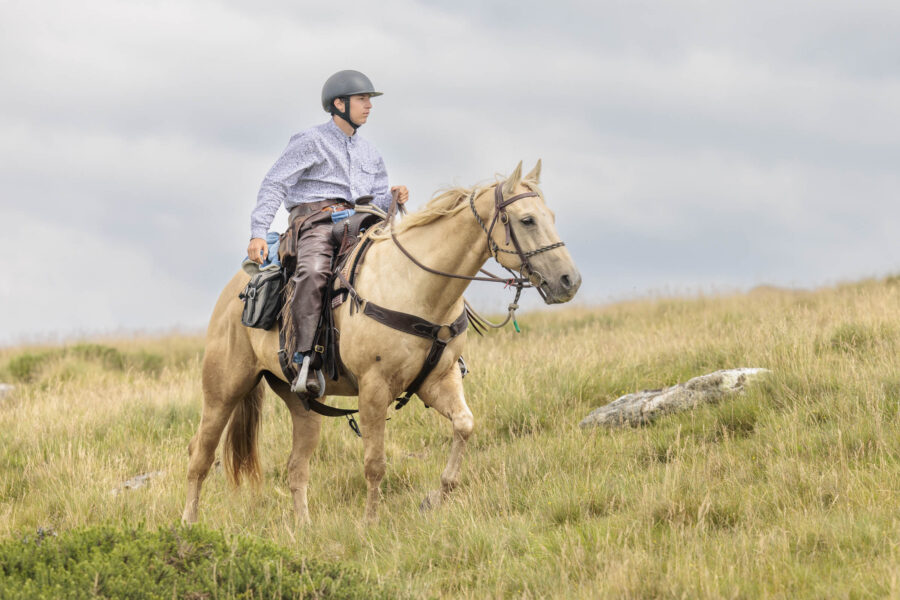 Dartmoor Cattle Drive & Crossing, England - Globetrotting horse riding holidays