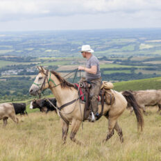 Dartmoor Cattle Drive & Crossing, England - Globetrotting horse riding holidays