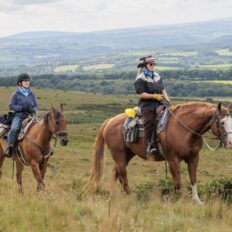 Dartmoor Cattle Drive & Crossing, England - Globetrotting horse riding holidays