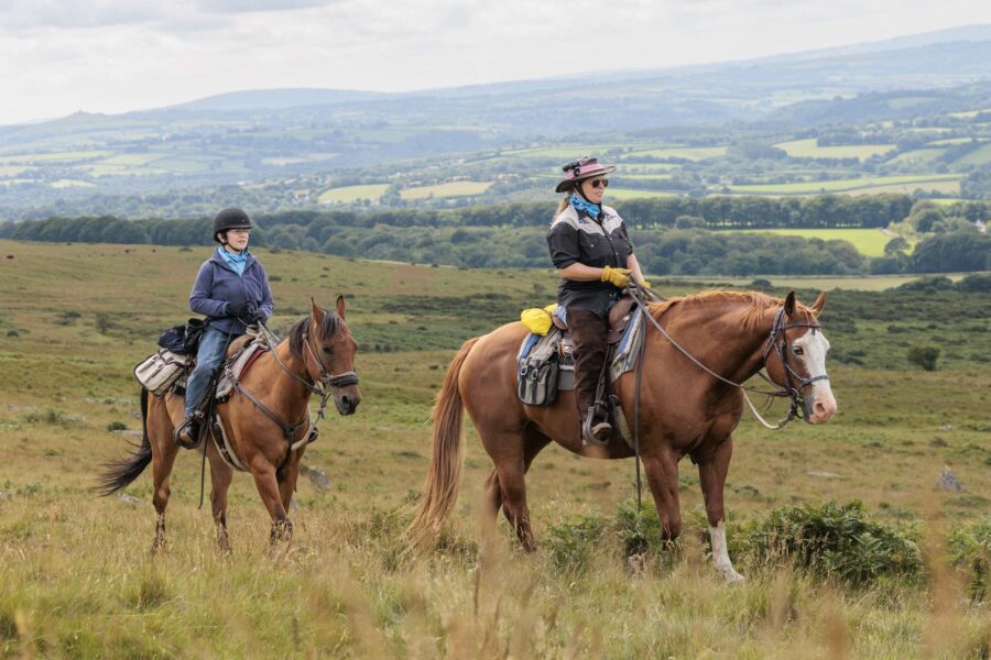 Dartmoor Cattle Drive & Crossing, England - Globetrotting horse riding holidays