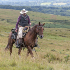 Dartmoor Cattle Drive & Crossing, England - Globetrotting horse riding holidays