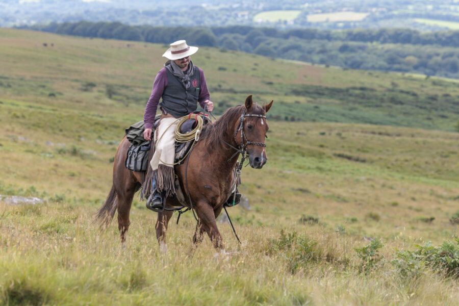 Dartmoor Cattle Drive & Crossing, England - Globetrotting horse riding holidays