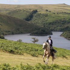 Dartmoor Cattle Drive & Crossing, England - Globetrotting horse riding holidays