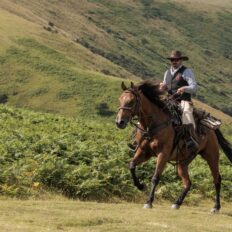 Dartmoor Cattle Drive & Crossing, England - Globetrotting horse riding holidays