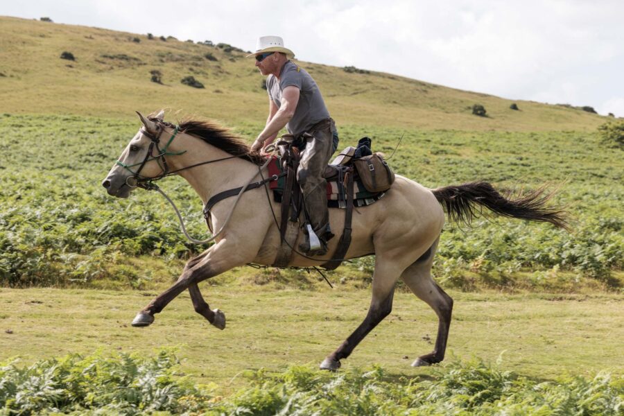 Dartmoor Cattle Drive & Crossing, England - Globetrotting horse riding holidays