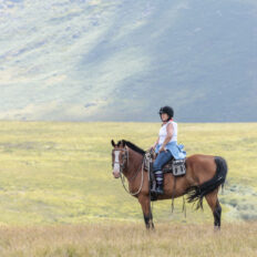 Dartmoor Cattle Drive & Crossing, England - Globetrotting horse riding holidays