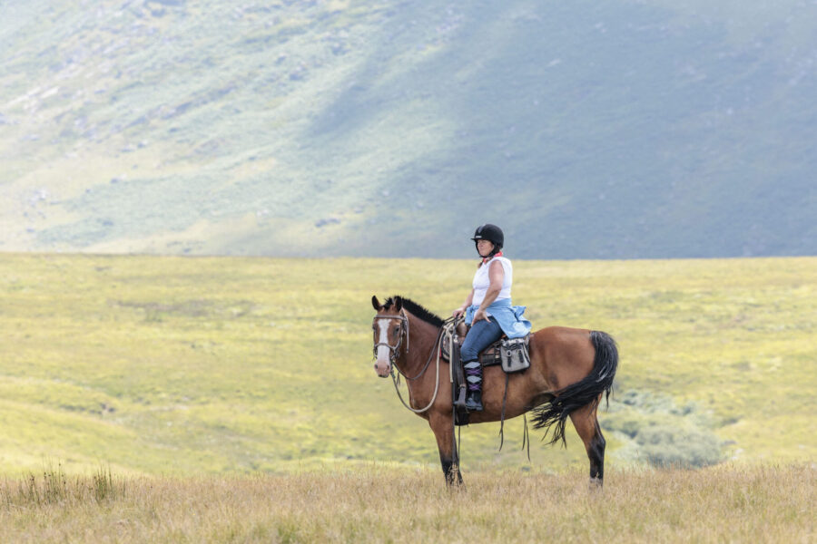 Dartmoor Cattle Drive & Crossing, England - Globetrotting horse riding holidays
