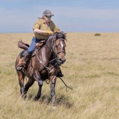 Dartmoor Cattle Drive & Crossing, England - Globetrotting horse riding holidays