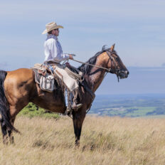 Dartmoor Cattle Drive & Crossing, England - Globetrotting horse riding holidays