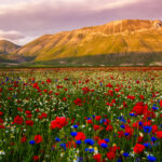 The Sibillini Mountains Ride, Umbria, Italy - Globetrotting horse riding holidays