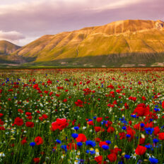 The Sibillini Mountains Ride, Umbria, Italy - Globetrotting horse riding holidays