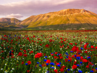 The Sibillini Mountains Ride, Umbria, Italy - Globetrotting horse riding holidays