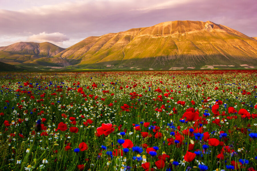 The Sibillini Mountains Ride, Umbria, Italy - Globetrotting horse riding holidays