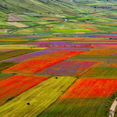 The Sibillini Mountains Ride, Umbria, Italy - Globetrotting horse riding holidays - photo by RudiErnst via Shutterstock