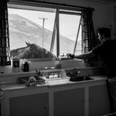 The Glenorchy Back Country Ride, New Zealand, Globetrotting Horse Riding Holidays
