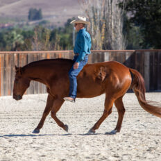 Touch of the Highlands Ride in Iceland Starring Warwick Schiller - Globetrotting horse riding holidays