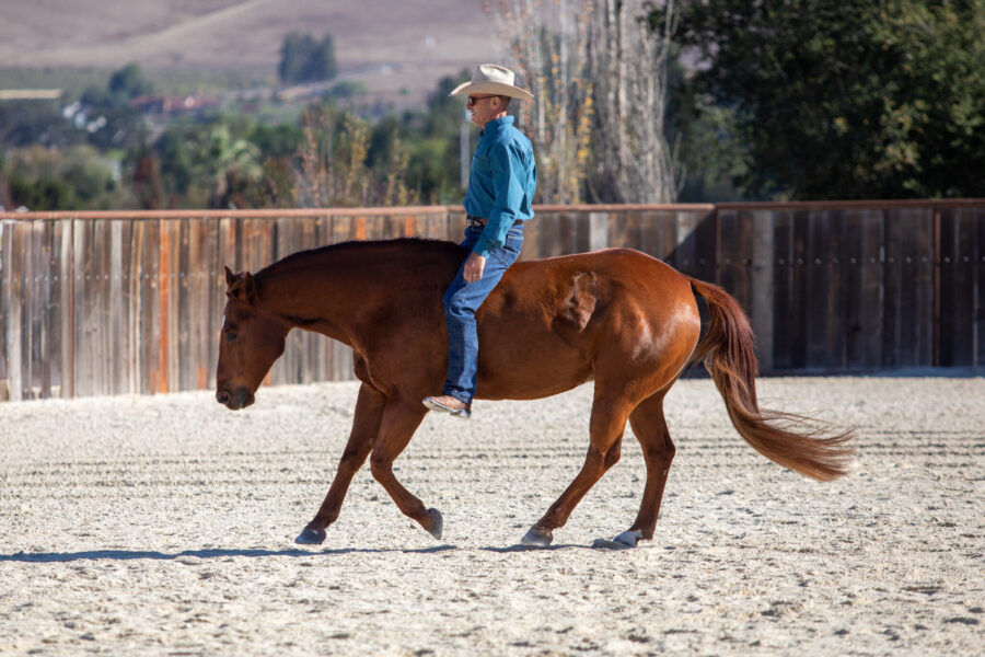 Touch of the Highlands Ride in Iceland Starring Warwick Schiller - Globetrotting horse riding holidays