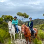 The Tassie Ride, Australia, Globetrotting Horse Riding Holidays