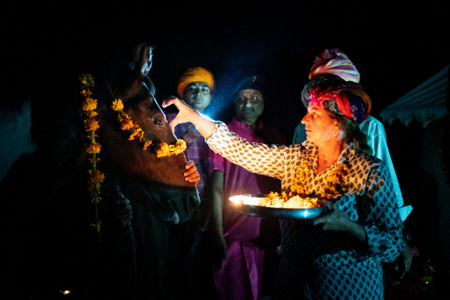 The Marwari Ride, India - Globetrotting horse riding holidays