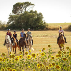 Train & Trail Ride, Andalucia, Spain - Globetrotting horse riding holidays