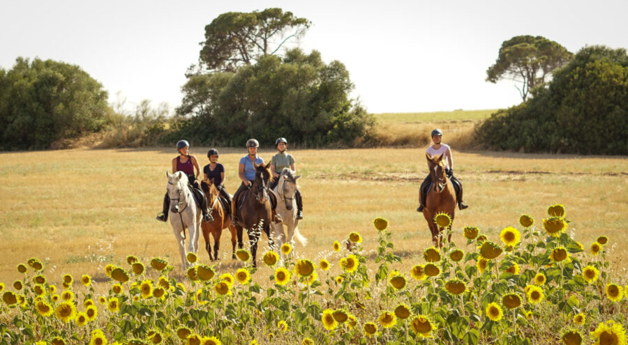 Train & Trail Ride, Andalucia, Spain - Globetrotting horse riding holidays