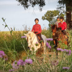 Train & Trail Ride, Andalucia, Spain - Globetrotting horse riding holidays