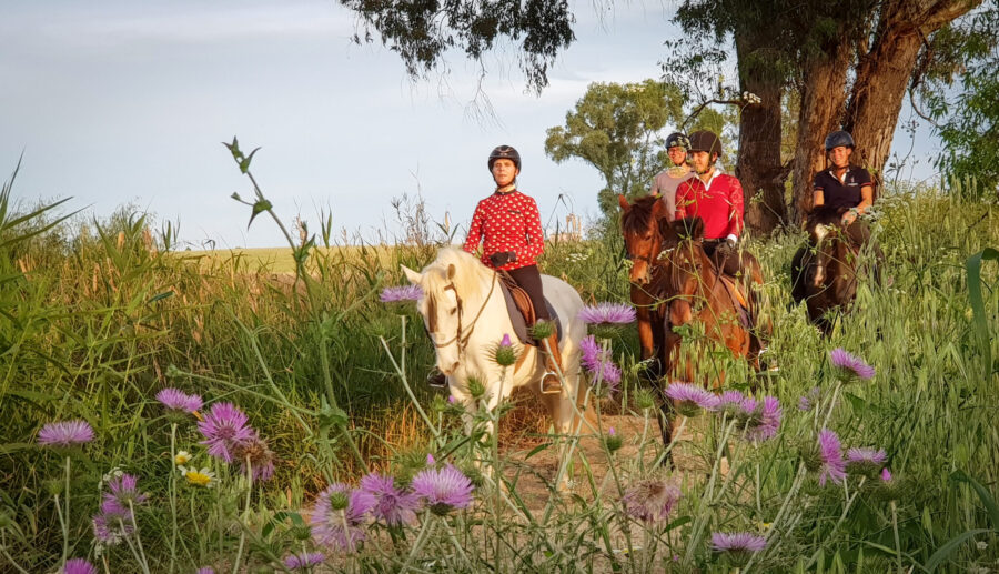 Train & Trail Ride, Andalucia, Spain - Globetrotting horse riding holidays