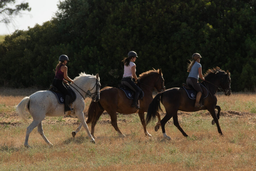 Train & Trail Ride, Andalucia, Spain - Globetrotting horse riding holidays