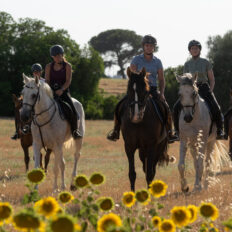Train & Trail Ride, Andalucia, Spain - Globetrotting horse riding holidays